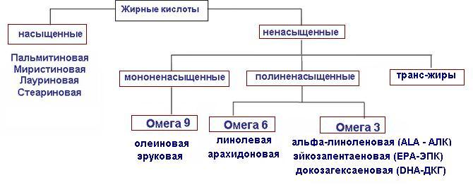 классификация жирных кислот