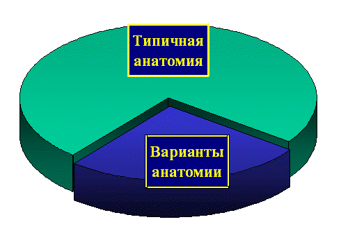 Частота аномальных вариантов анатомии