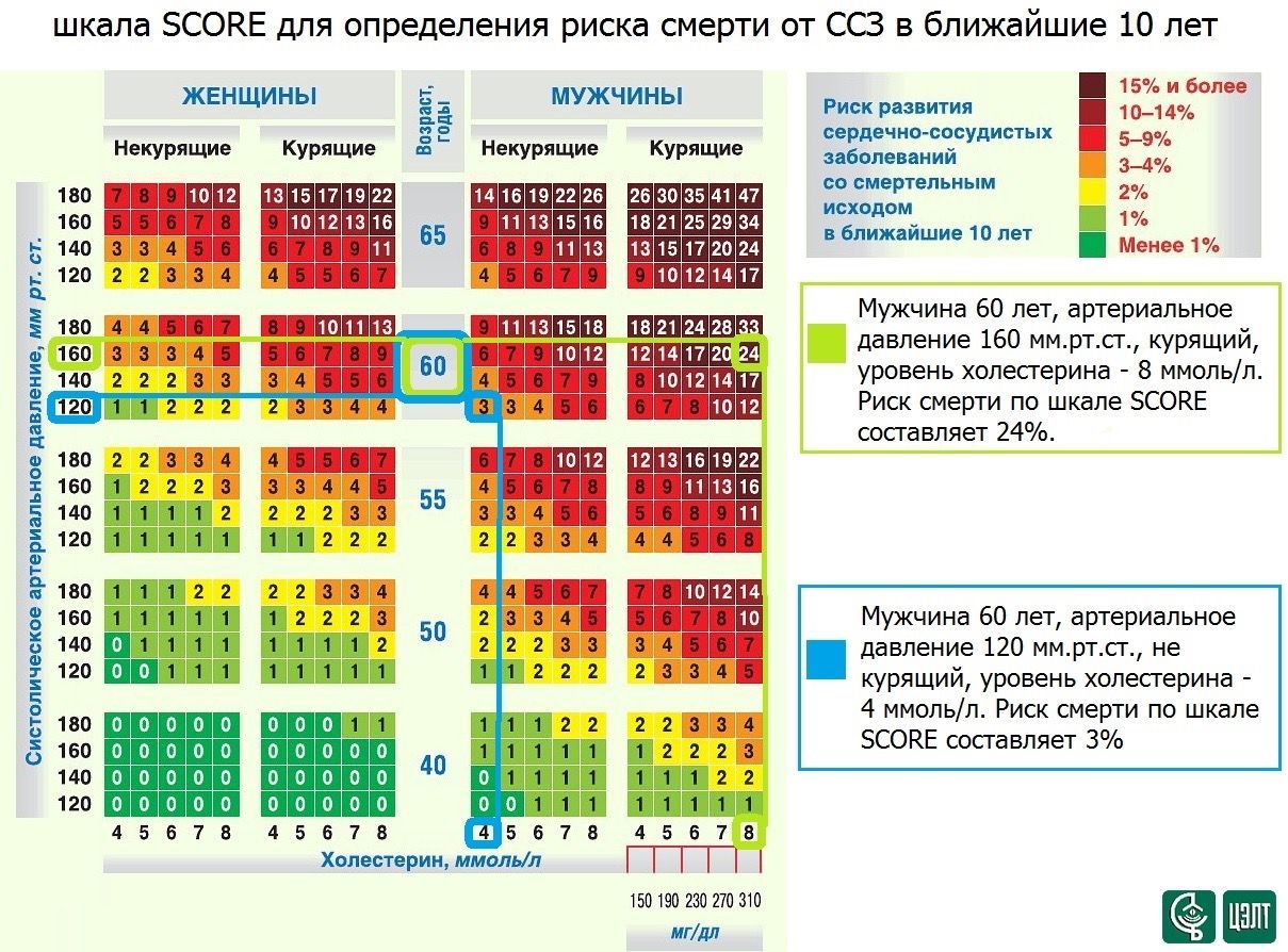 Профилактика сердечно-сосудистых заболеваний