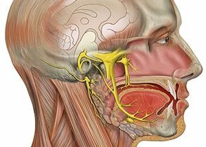 Радиочастотная ризотомия