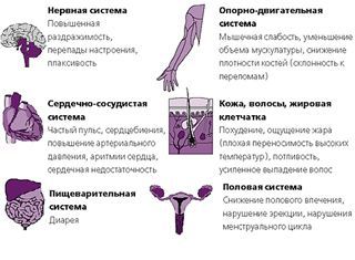 При синдроме тиреотоксикоза наблюдаются сонливость При синдроме тиреотоксикоза наблюдаются сонливость thumbnail