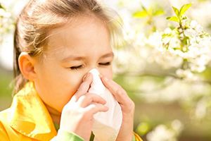 Аллергический ринит, синусит, конъюнктивит