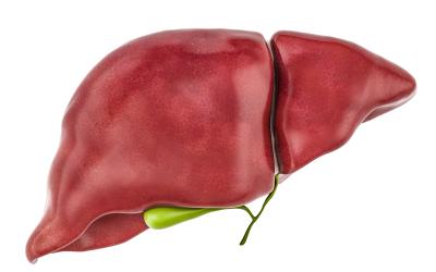 Неалкогольная жировая болезнь печени