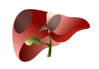 Паразитарные заболевания печени