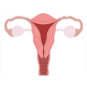 Радикальная гистерэктомия матки с придатками в клинике ЦЭЛТ в Москве