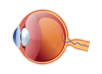 Ленсэктомия в клинике ЦЭЛТ в Москве