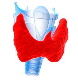 Тиреоидэктомия (удаление всей щитовидной железы) (I категория сложности) в клинике ЦЭЛТ в Москве
