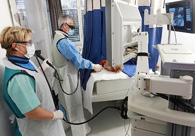 Эндоскопическая ретроградная панкреатохолангиография в клинике ЦЭЛТ в Москве