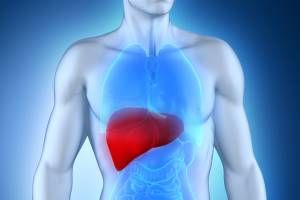 Гепатиты