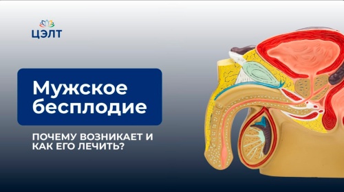 Почему возникает мужское бесплодие и как его лечить