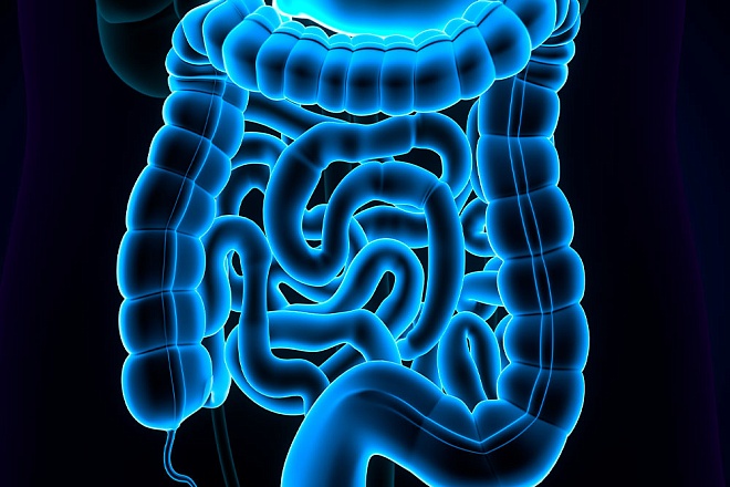 Билиопанкреатическое шунтирование желудка что это за операция, клиника ЦЭЛТ