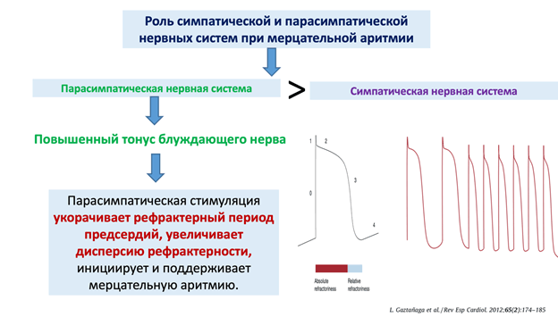 Понимание мерцательной аритмии: механизмы, триггеры и структурные изменения и Лечение